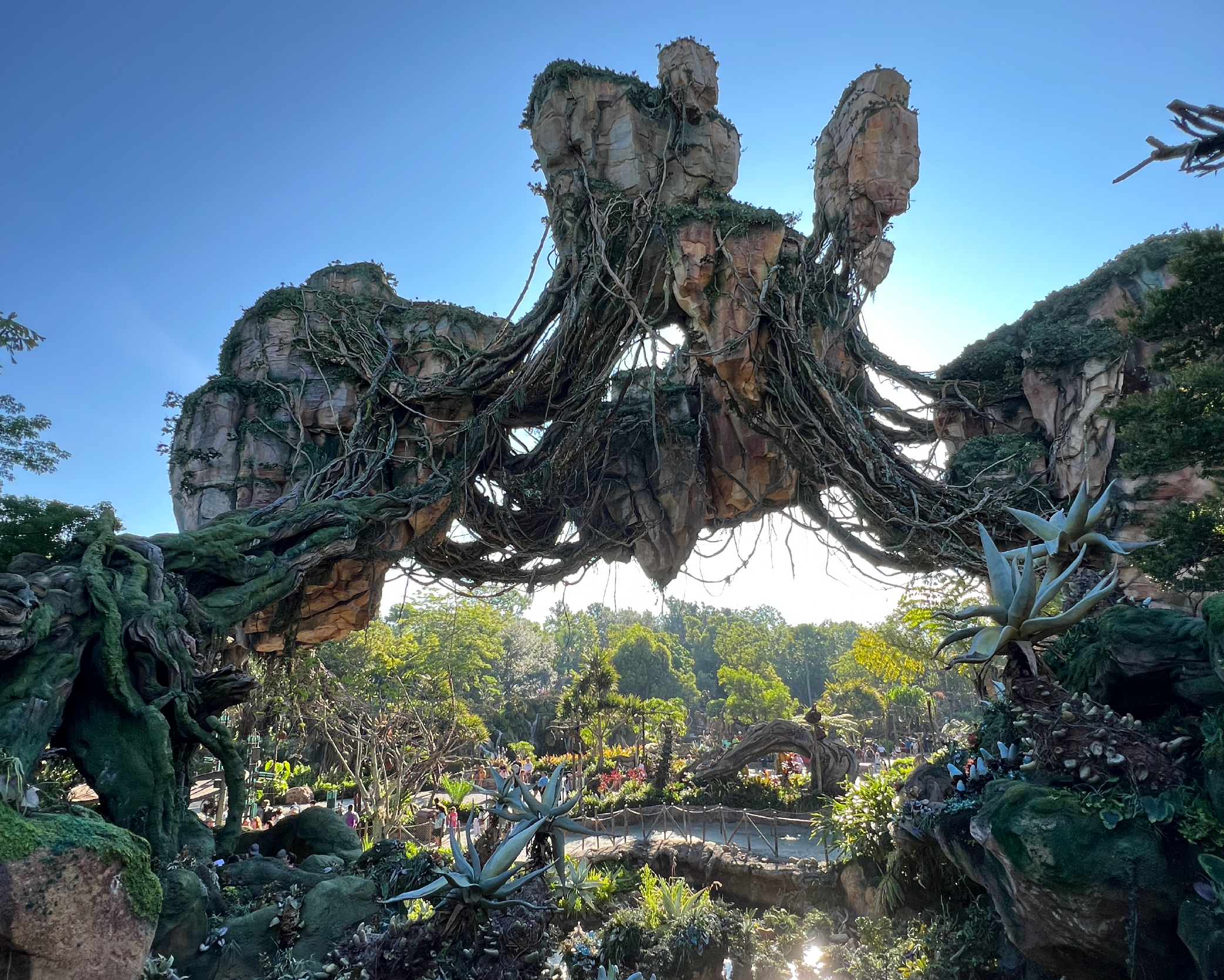 Avatar (Animal Kingdom)