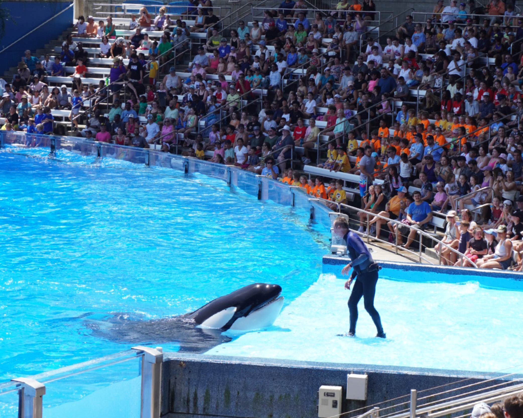 SeaWorld